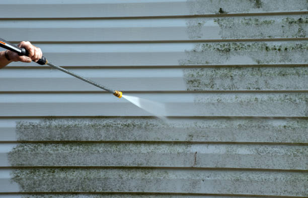 Best Mold Damage Repair  in Russiaville, IN