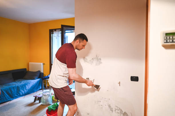 Best Black Mold Removal  in Russiaville, IN