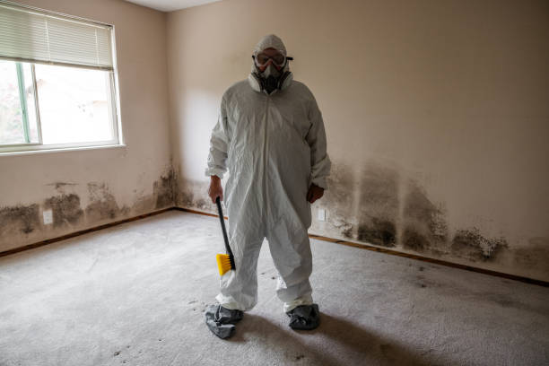 Best Mold Cleaning Services  in Russiaville, IN